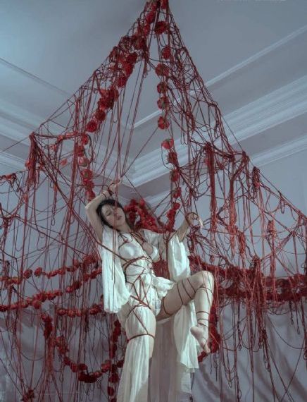 娃娃脸1977年经典蘑菇_蓝光动漫在线观看